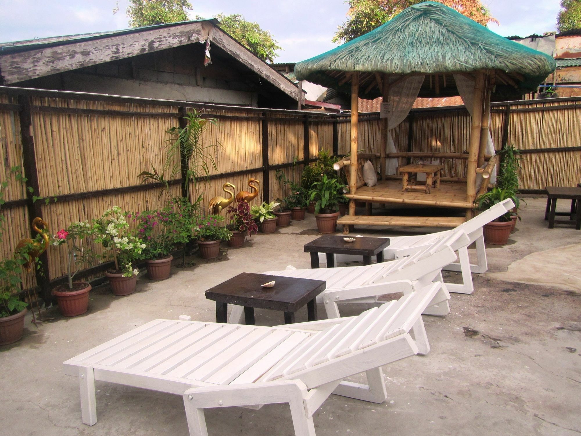 Coron Guapos Guesthouse المظهر الخارجي الصورة